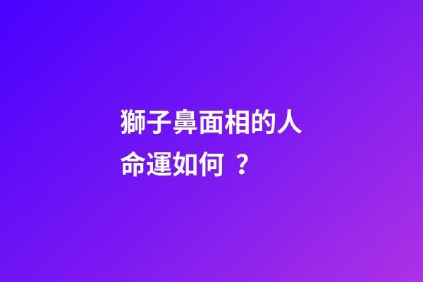 獅子鼻面相的人命運如何？